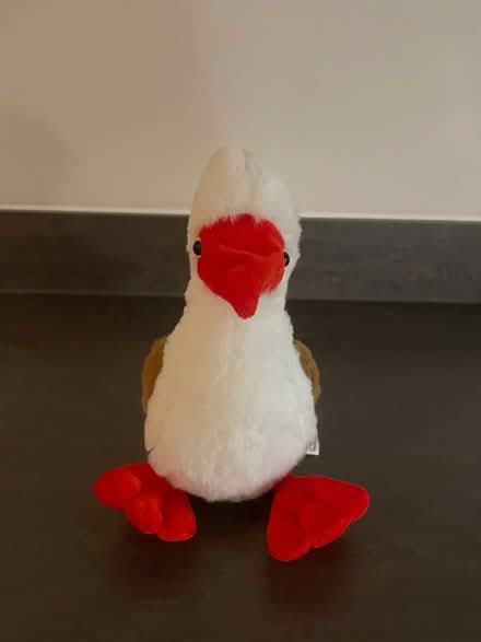 Photo of free Soft Toy (Appleton) #1