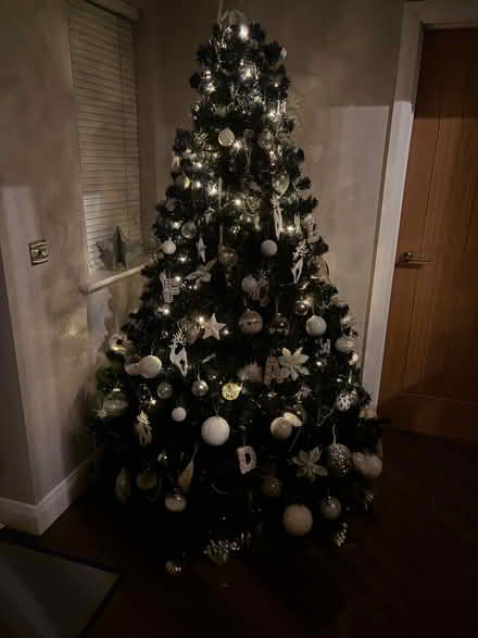 Photo of free 7ft Christmas Tree (Blackpill SA2) #2