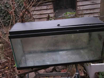 Photo of free Old Fish Tank (Bush Hill Park EN1) #2