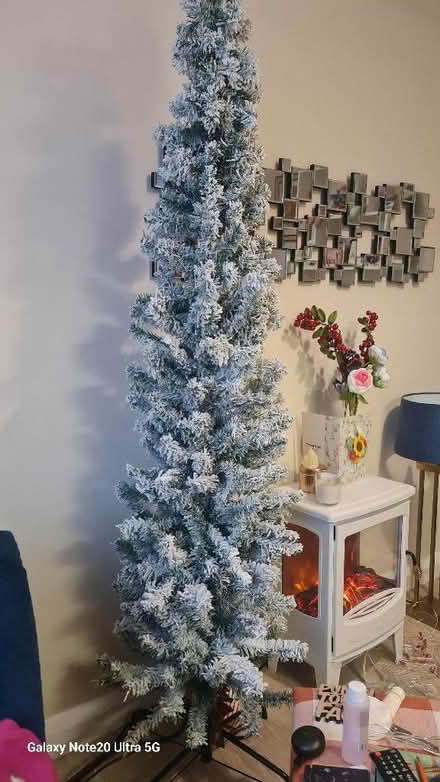 Photo of free Skinny Christmas 🎄. (Foxwood YO24) #1