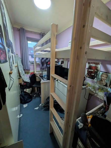 Photo of free Cabin bed with desk under (Goffs Oak EN7) #1