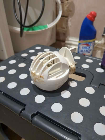 Photo of free Cat calming diffuser (Bromham MK43) #1