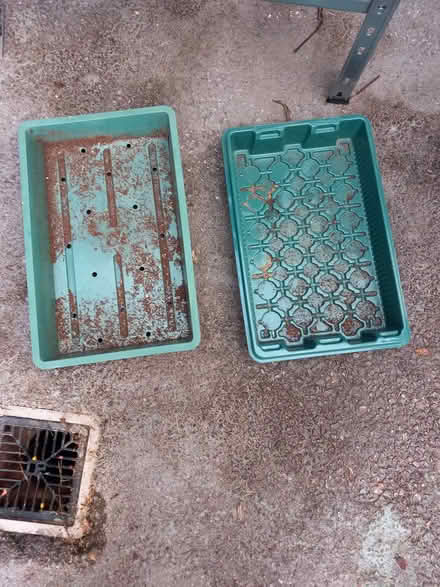 Photo of free full size seed trays (Bare LA4) #1