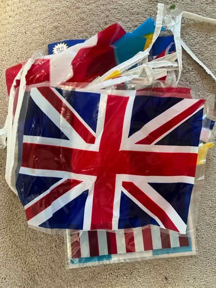 Photo of free 2 International flag banners (Sunnyvale - Ponderosa Park) #2