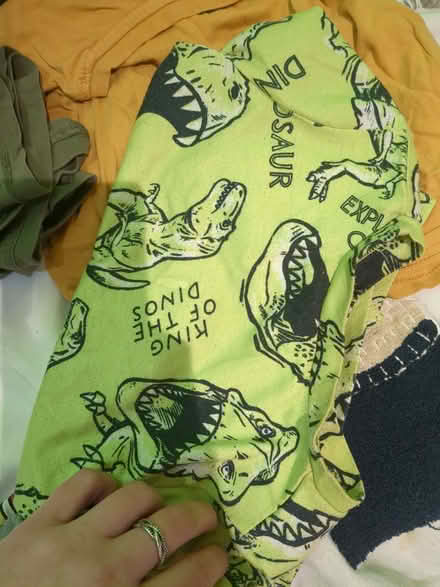 Photo of free Clothes for 2-3 year olds (Bromham MK43) #3