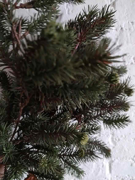 Photo of free Artificial branches (Odenton) #1