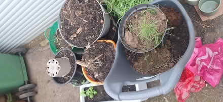 Photo of free Soil (Kingscourt, Stroud) #1