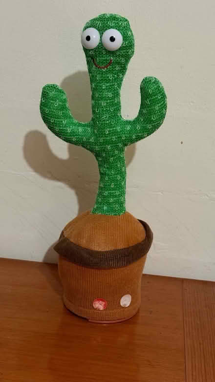 Photo of free Dancing Cactus (faulty) (Eagle street, Leam, CV31) #1