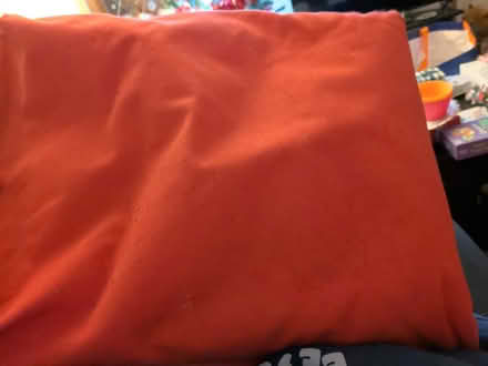 Photo of free Laptray (Little ridge, St Leonards TN37) #2