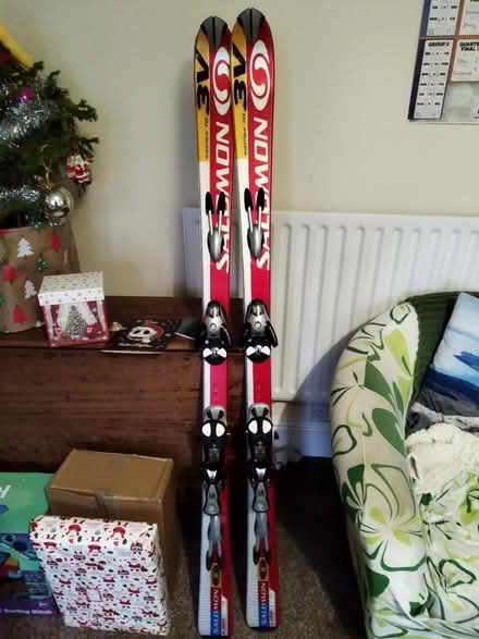 Photo of free Skis, Poles and Bag (York) #1