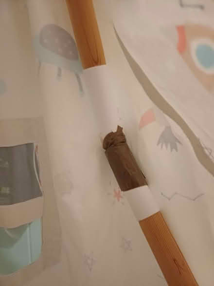 Photo of free Children's play tent (South Norwood, SE25) #2