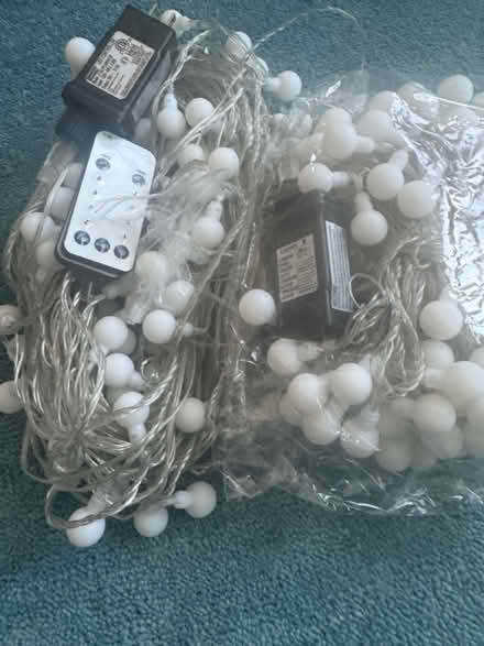 Photo of free Fairy lights, white (Alameda) #1