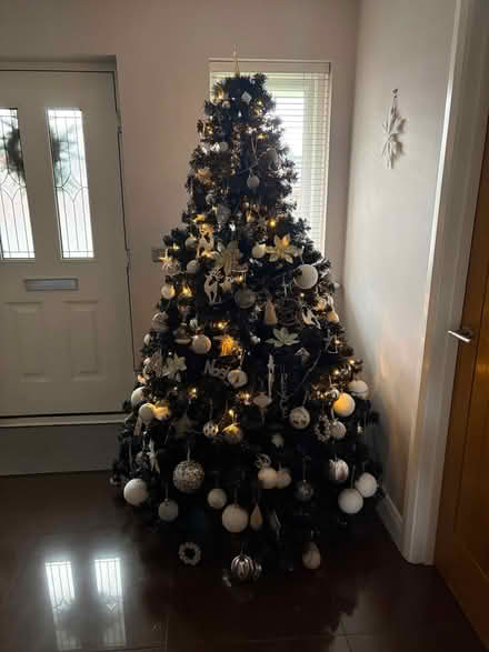 Photo of free 7ft Christmas Tree (Blackpill SA2) #1