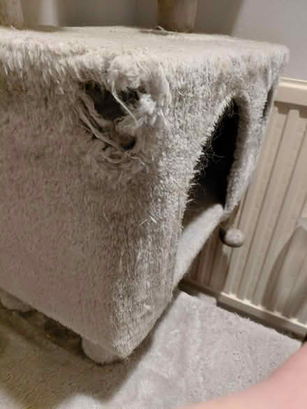 Photo of free Cat tower (RG213AD) #2