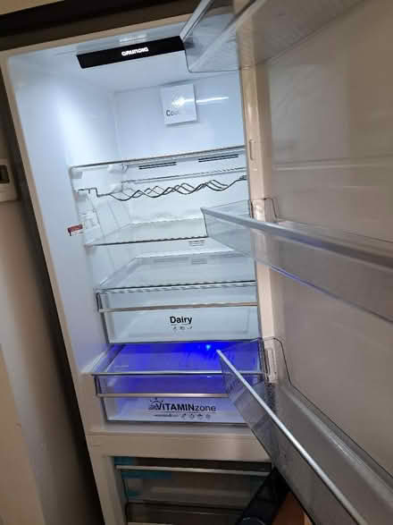 Photo of free Grundig fridge freezer (Alexandra Park M16) #1