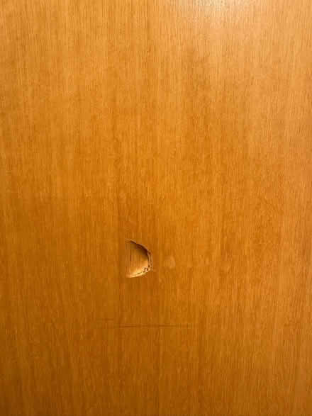 Photo of free Internal doors (The Grange EH9) #2