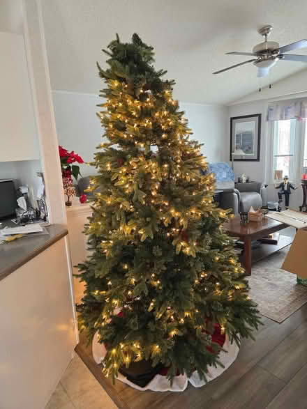 Photo of free Christmas 🎄 Tree (Emerald Hills area) #2