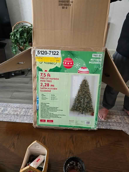 Photo of free Christmas 🎄 Tree (Emerald Hills area) #1