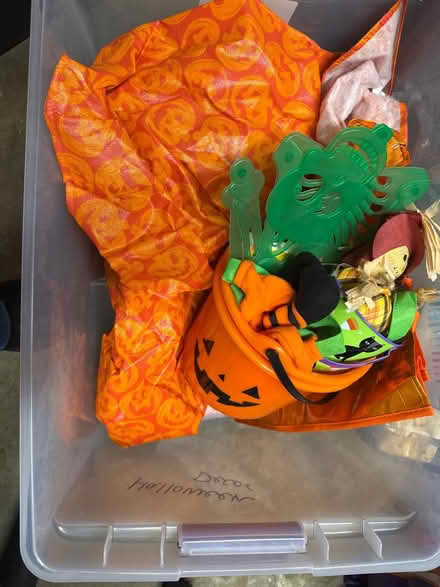 Photo of free Halloween decor (newark) #1