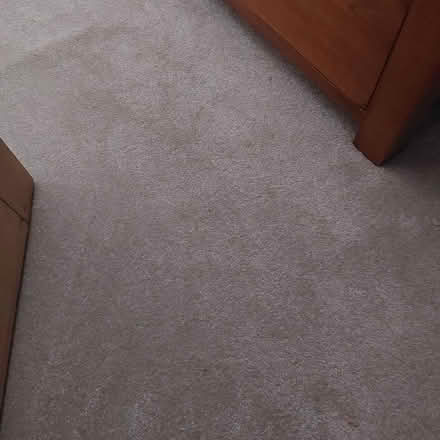 Photo of free Hessian backed carpet offcut (Roath CF24) #3