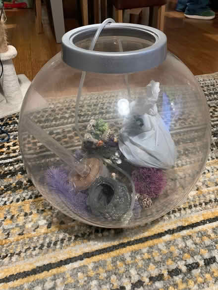 Photo of free Bio-orb 60l fish tank (Bricknells Meadow OX28) #1