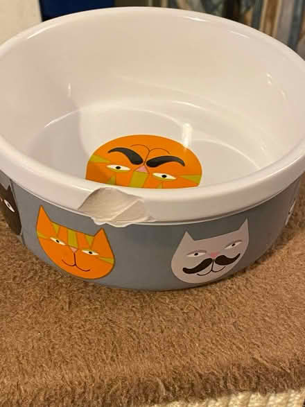 Photo of free Cat bowl with chip (Jennetts park RG12) #2