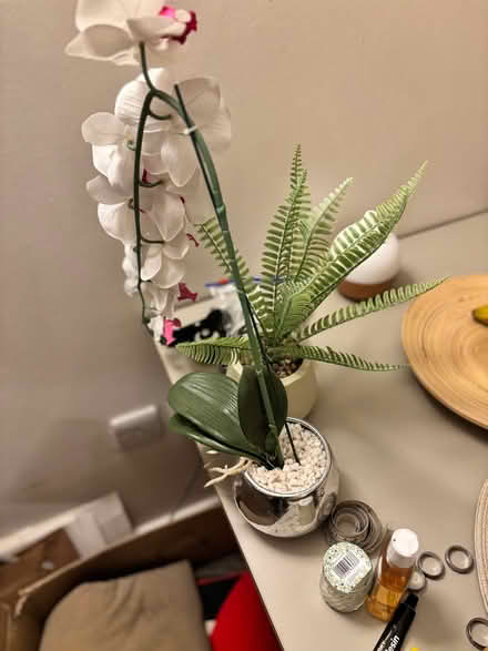 Photo of free Artificial flowers (Lewisham SE13) #2