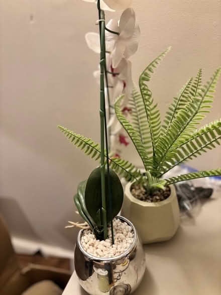 Photo of free Artificial flowers (Lewisham SE13) #1