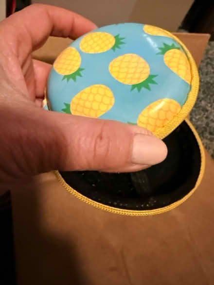 Photo of free Zippered Case-New (South Hill) #1