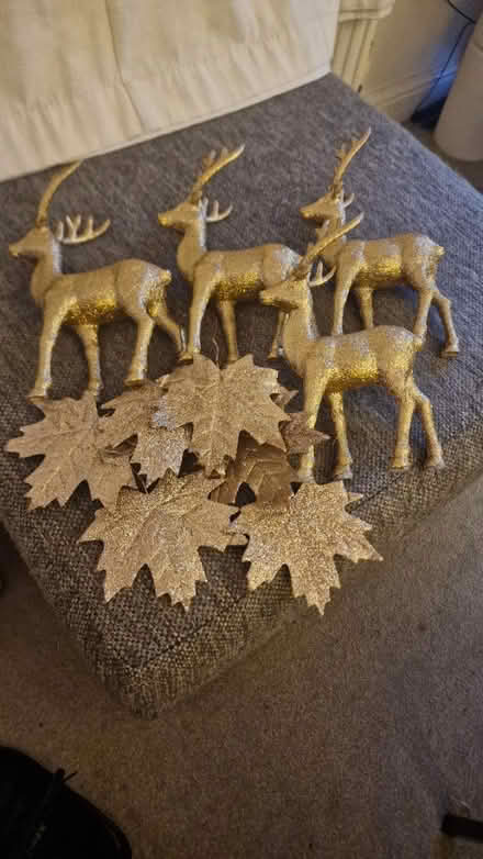 Photo of free Christmas 🎄 decor (Kirk Hallam DE7) #1