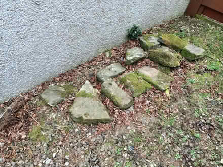 Photo of free Rockery stones (Carnoustie DD7) #1