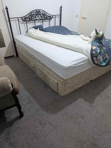 Photo of free King sized divan bed (SE25 6GH) #3