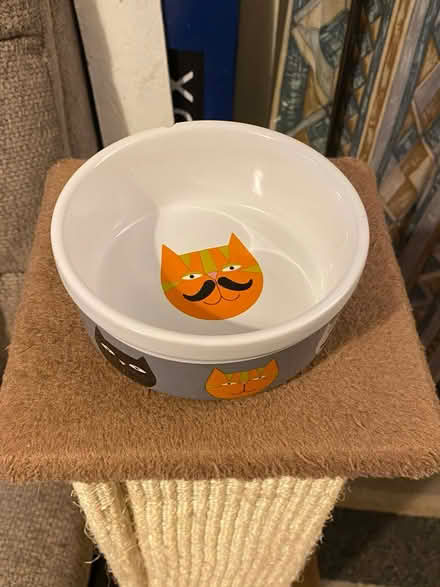 Photo of free Cat bowl with chip (Jennetts park RG12) #1