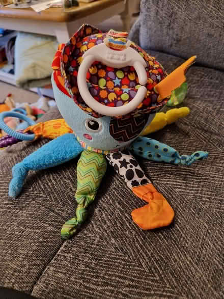 Photo of free Baby toys (Wildridings RG12) #2