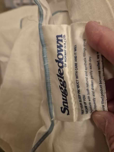 Photo of free Snuggledown Kingsize Duvet (Swainshill HR4) #1