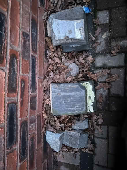 Photo of free Bricks & 1/2 breeze blocks (St.Leonards TN38) #4