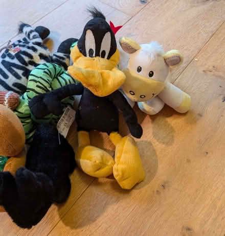 Photo of free Collection of small soft toys (Woolstone MK15) #4