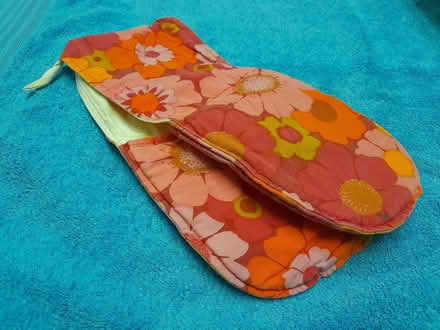 Photo of free Oven gloves (Alvaston DE24) #1