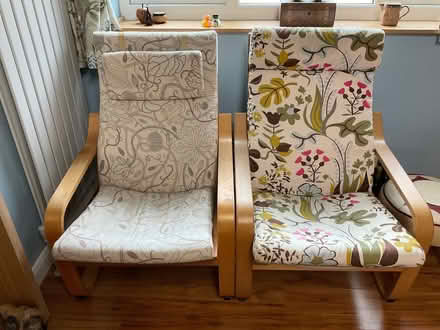 Photo of free IKEA Poang Chairs (Lakenham NR1) #1