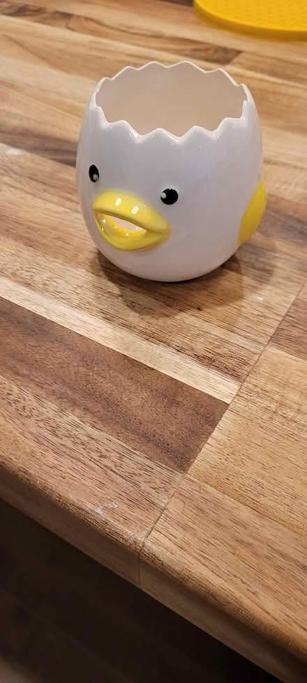 Photo of free Egg separator (Mavis and burnhamthorpe) #1