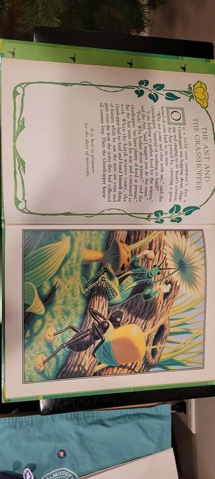 Photo of free "Aesop's fables" book (Mavis and burnhamthorpe) #1