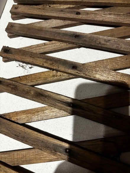 Photo of free Wooden expandable trellis (Lavender Hill SW11) #2