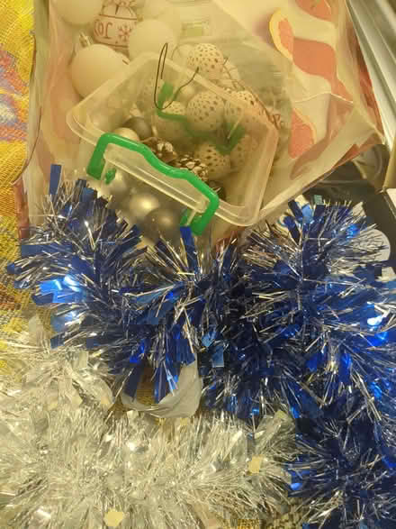 Photo of free Christmas decorations (Bromham MK43) #1