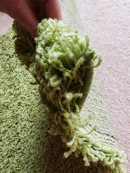 Photo of free Grass green shaggy rug (Barbourne, WR1) #2