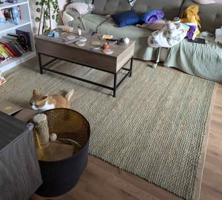 Photo of free Large Rug (Oxford OX2) #1