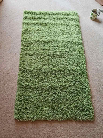 Photo of free Grass green shaggy rug (Barbourne, WR1) #1