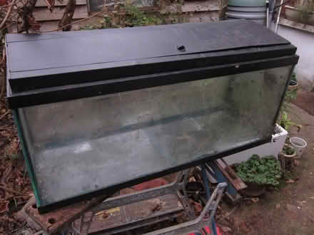 Photo of free Old Fish Tank (Bush Hill Park EN1) #1