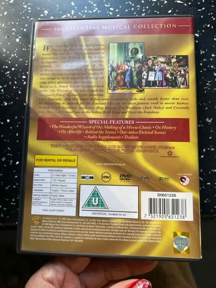 Photo of free Wizard of Oz (Patcham Brighton) #2