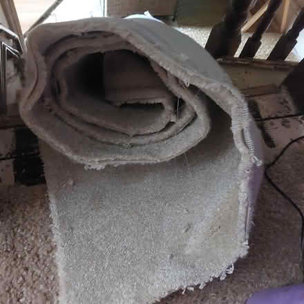 Photo of free Hessian backed carpet offcut (Roath CF24) #1