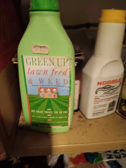 Photo of free Lawn feed and Slug stuff (Knaresborough HG5) #1